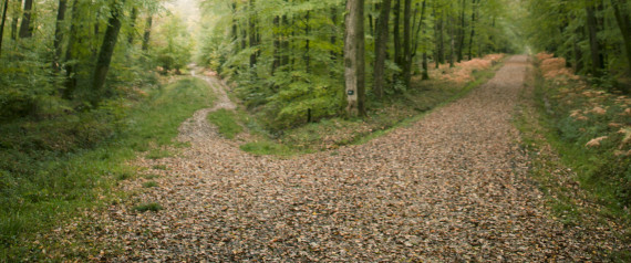 The-Road-Less-Traveled